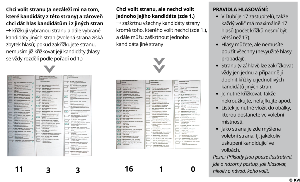 Jak hlasovat ve volbách